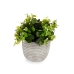 Planta Decorativa Ibergarden QY-H021 Plástico Bloemen 20 x 20,5 x 20 cm (8 Unidades)