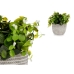 Decoratieve plant Blommor Plastic 20 x 20,5 x 20 cm (8 Stuks)