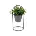 Plantă decorativă Frunze Rotundă Metal Plastic 21 x 30 x 21 cm (8 Unități)