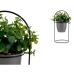 Plantă decorativă Frunze Rotundă Metal Plastic 21 x 30 x 21 cm (8 Unități)