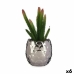 Plantă decorativă Cactus Ceramică Plastic 10 x 20 x 10 cm (6 Unități)