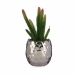 Decoratieve plant Cactus Keramisch Plastic 10 x 20 x 10 cm (6 Stuks)