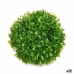 Plantă decorativă Míč Plastic 17 x 13,5 x 17 cm (12 Unități)