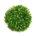 Plantă decorativă Míč Plastic 17 x 13,5 x 17 cm (12 Unități)