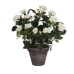 Decoratieve plant Mica Decorations Rosal Keramisch PVC