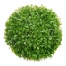 Dekorativ plante Ark Krogla Plastik 22 x 22 x 22 cm (8 enheder)