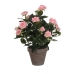 Decoratieve plant Mica Decorations Rosal Keramisch PVC