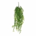 Decoratieve plant Mica Decorations Hanger 81 cm Vijgen