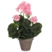 Decoratieve plant Mica Decorations PVC Geranium (11,5 x 33 cm)