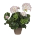 Decoratieve plant Mica Decorations PVC Geranium (11,5 x 33 cm)