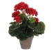 Decoratieve plant Mica Decorations PVC 11,5 x 33 cm