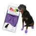 Botas Pawz Perro 12 Unidades Morado Talla L