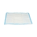 Zindelijkheidstraining-pads voor honden 60 x 60 cm Blauw Wit Papier Polyethyleen (10 Stuks)