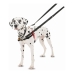 Hundegeschirr Company of Animals Halti Schwarz/Rot S (36-64 cm)