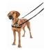 Hundegeschirr Company of Animals Halti Schwarz/Rot S (36-64 cm)