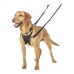 Arnês para Cães Company of Animals Halti Tamanho M (34-56 cm)