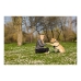 Hundegeschirr Company of Animals Halti M (34-56 cm)