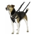 Arnês para Cães Company of Animals Halti Tamanho S (26-36 cm)