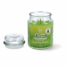 Gyertya Magic Lights 8030650530505 Citromfű 510 ml