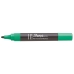 Marcatore permanente Sharpie M15 Verde 12 Pezzi