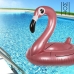 Badering Flamingo