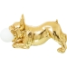 Bordlampe Alexandra House Living Guld Gylden Akryl Plastik Melamin 47 x 23 x 20 cm Hund