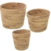 Conjunto de vasos Alexandra House Living Castanho Rotim Fibra natural 3 Peças