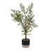 Dekorativ Plante Versa Metall Keramikk polystyren Plast 39 x 71 x 53 cm