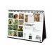 Calendar de birou Finocam FAUNA SALVAJE Multicolor Hârtie 21 x 15 cm 2025