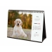 Calendar de birou Finocam CACHORROS CARIÑOSOS Multicolor Hârtie 21 x 15 cm 2025