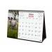 Calendar de birou Finocam PERROS Y GATOS Multicolor Hârtie 21 x 15 cm 2025