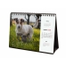 Calendar de birou Finocam PERROS Y GATOS Multicolor Hârtie 21 x 15 cm 2025