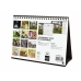 Calendar de birou Finocam PERROS Y GATOS Multicolor Hârtie 21 x 15 cm 2025