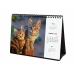 Calendar de birou Finocam GATITOS ENTRAÑABLES Multicolor Hârtie 21 x 15 cm 2025