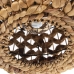 Ceiling Light Alexandra House Living Brown Rattan Natural Fibre 60 W 37 x 24 x 37 cm