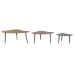 Jeu de 3 tables DKD Home Decor Fer (Reconditionné C)