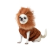 Dog Costume Size S Lion