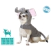 Costume per Cane Taglia S Elefante