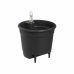 Selvvandende pot Elho Insert 28 Sort Plastik 27,7 x 27,7 x 25,5 cm