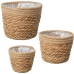 Conjunto de vasos Alexandra House Living Castanho Rotim Fibra natural 3 Peças