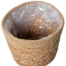 Set of Planters Alexandra House Living Brown Rattan Natural Fibre 3 Pieces