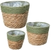 Conjunto de vasos Alexandra House Living Castanho Rotim Fibra natural 3 Peças