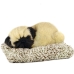 Knuffel met Geluid Alexandra House Living Grijs Hond 14 x 6 x 13 cm Mini