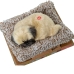 Knuffel met Geluid Alexandra House Living Grijs Hond 14 x 6 x 13 cm Mini