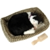 Peluche com Movimento Alexandra House Living Castanho Bege Gato 23 x 10 x 19 cm