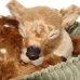 Motion-animated Stuffed Animal Alexandra House Living Brown Beige Textile Deer 23 x 10 x 19 cm