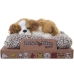 Bamse med Lyd Alexandra House Living Multifarvet Hund 14 x 6 x 13 cm Mini