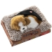 Fjernstyrt Motorsykkel Alexandra House Living Flerfarget Hund 14 x 6 x 13 cm Mini