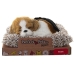 Peluche con Sonido Alexandra House Living Multicolor Perro 14 x 6 x 13 cm Mini