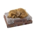 Fjernstyrt Motorsykkel Alexandra House Living Flerfarget Hund 16 x 2 x 14 cm Mini